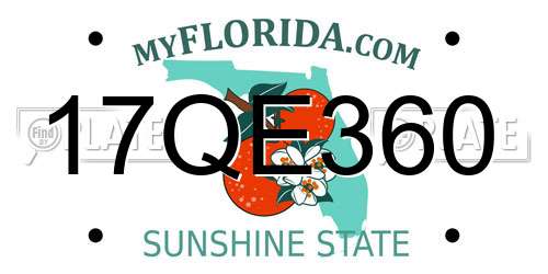 17QE360 Florida License Plate