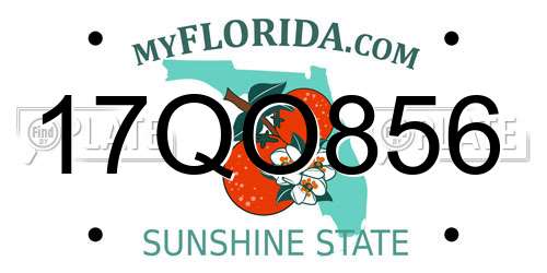 17QO856 Florida License Plate