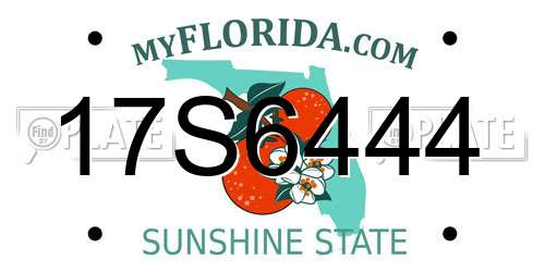 17S6444 Florida License Plate