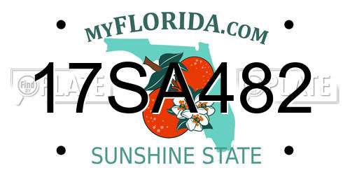 17SA482 Florida License Plate