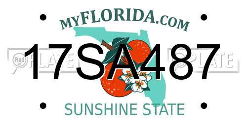 17SA487 Florida License Plate
