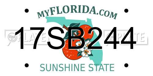 17SB244 Florida License Plate