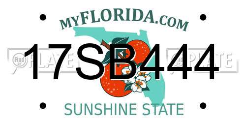 17SB444 Florida License Plate