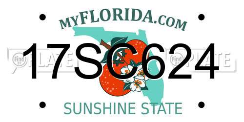 17SC624 Florida License Plate