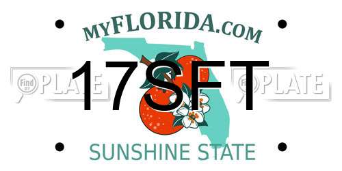 17SFT Florida License Plate