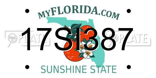 17SI387 Florida License Plate
