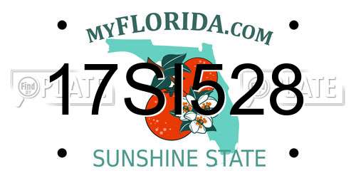 17SI528 Florida License Plate