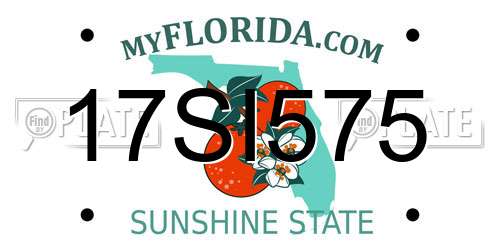 17SI575 Florida License Plate