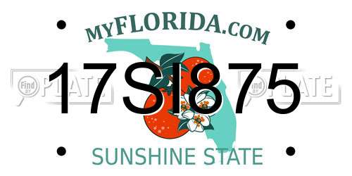 17SI875 Florida License Plate
