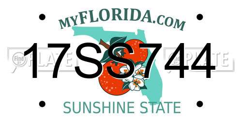 17SS744 Florida License Plate
