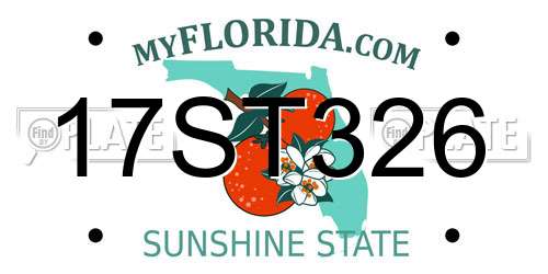 17ST326 Florida License Plate