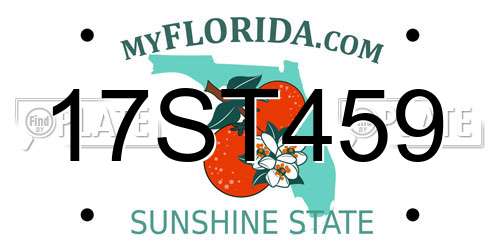 17ST459 Florida License Plate
