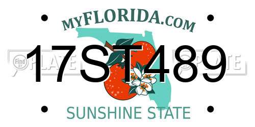 17ST489 Florida License Plate