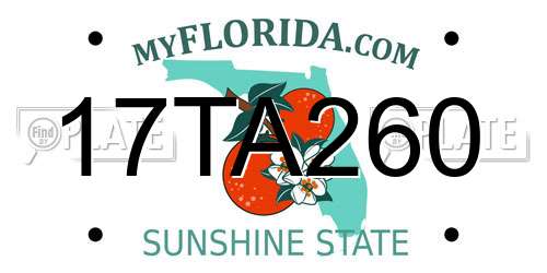17TA260 Florida License Plate