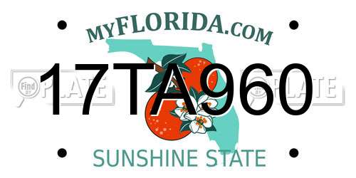 17TA960 Florida License Plate
