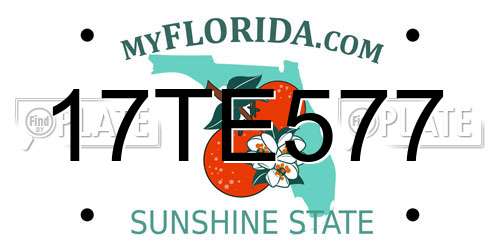17TE577 Florida License Plate