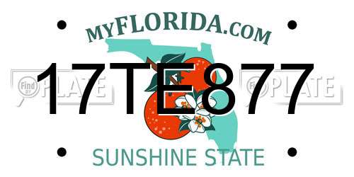 17TE877 Florida License Plate