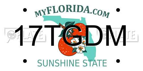 17TGDM Florida License Plate