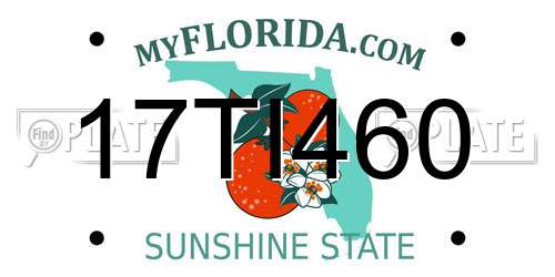 17TI460 Florida License Plate
