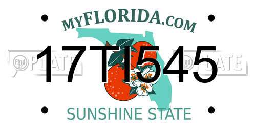 17TI545 Florida License Plate