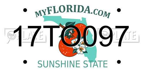 17TO097 Florida License Plate
