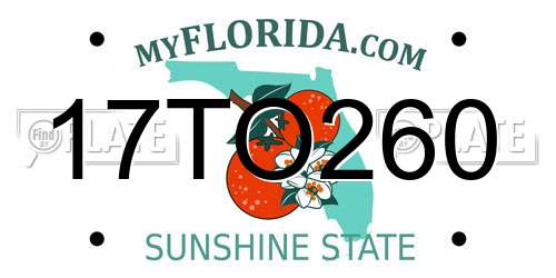 17TO260 Florida License Plate