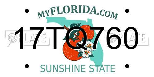 17TQ760 Florida License Plate