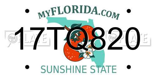17TQ820 Florida License Plate
