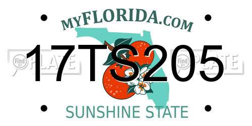 17TS205 Florida License Plate