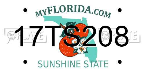 17TS208 Florida License Plate