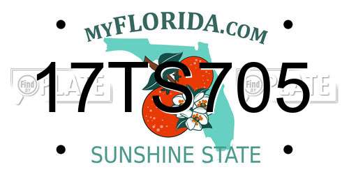 17TS705 Florida License Plate