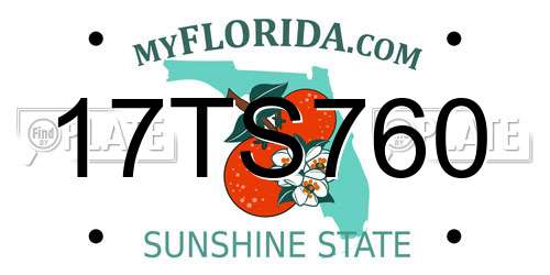 17TS760 Florida License Plate