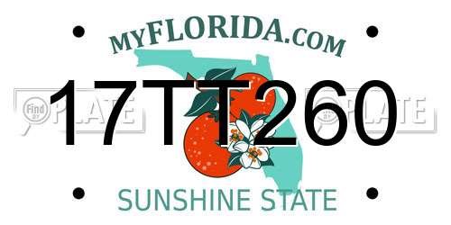 17TT260 Florida License Plate