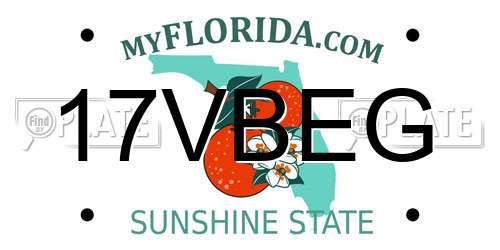 17VBEG Florida License Plate