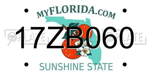 17ZB060 Florida License Plate