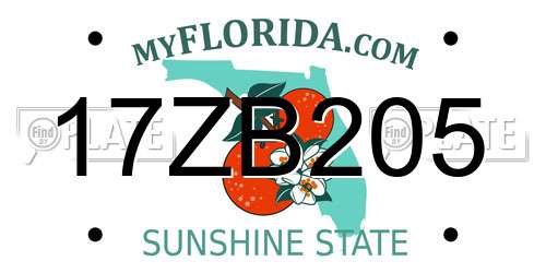 17ZB205 Florida License Plate