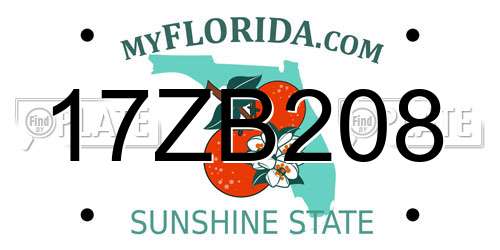 17ZB208 Florida License Plate