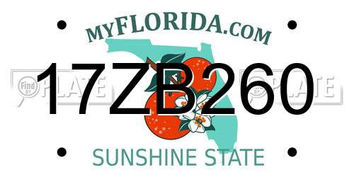 17ZB260 Florida License Plate