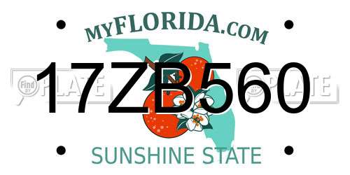 17ZB560 Florida License Plate