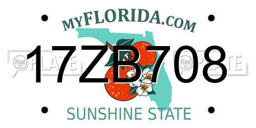 17ZB708 Florida License Plate