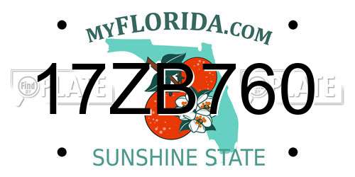 17ZB760 Florida License Plate