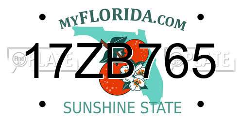 17ZB765 Florida License Plate