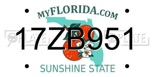 17ZB951 Florida License Plate