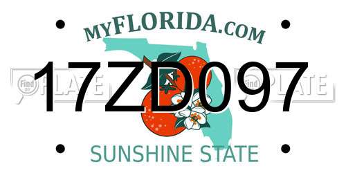 17ZD097 Florida License Plate