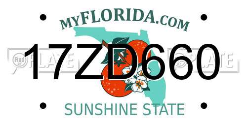 17ZD660 Florida License Plate