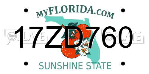 17ZD760 Florida License Plate
