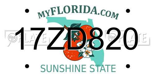 17ZD820 Florida License Plate