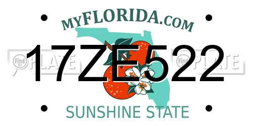 17ZE522 Florida License Plate