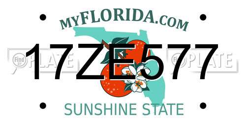 17ZE577 Florida License Plate