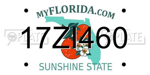 17ZI460 Florida License Plate